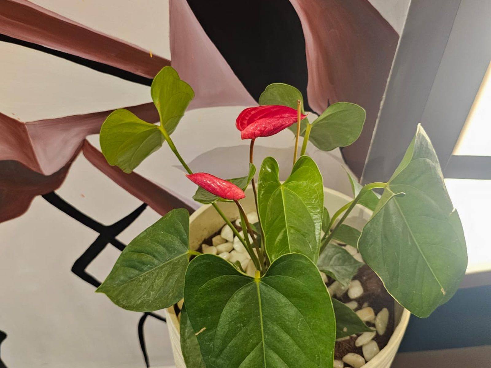 WhatsApp Image 2024-11-18 at 22.41.54_94e1895f